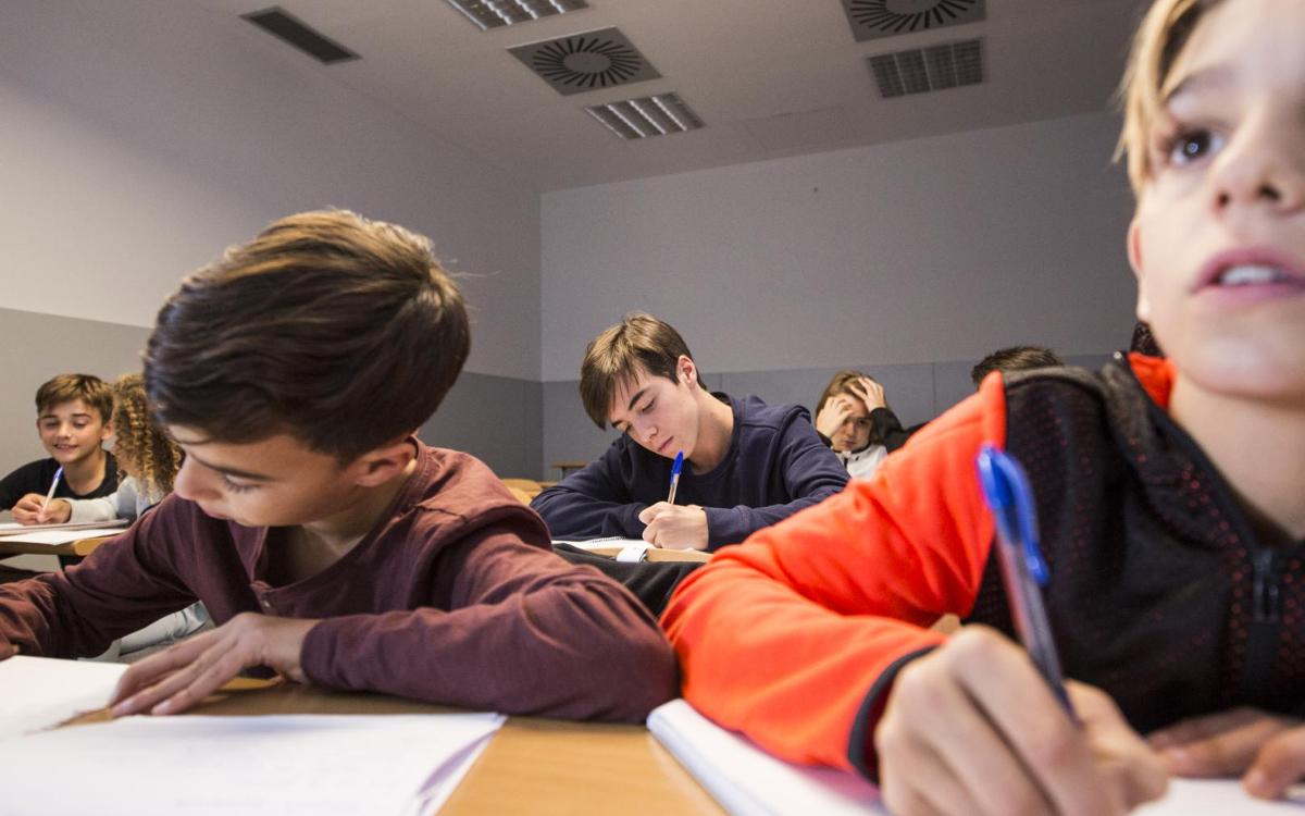 Academic support